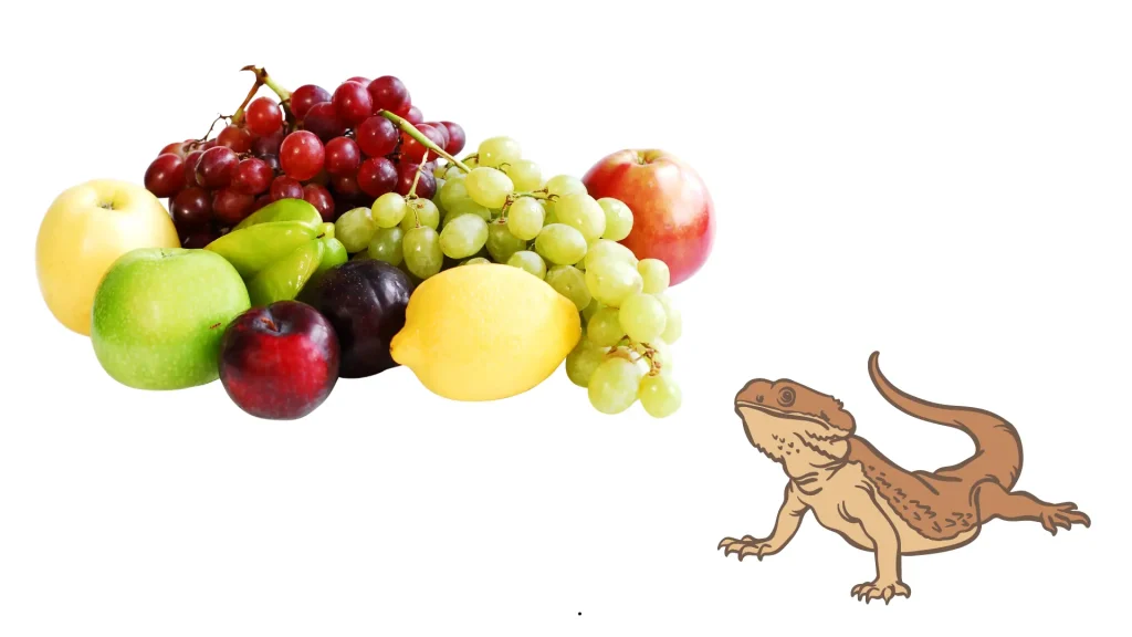 What fruits can bearded dragons eat?
